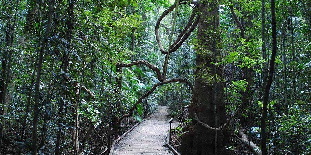 Blog Mary Cairncross Park