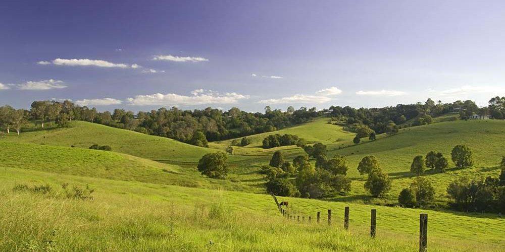 Maleny countryside