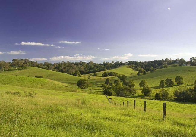 Maleny countryside